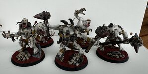 IMG_1612.jpeg