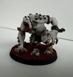 IMG_1617.jpeg
