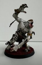 IMG_1620.jpeg