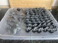 IMG_8873.jpeg