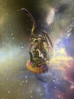 IMG_9016.jpeg