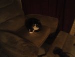 IMG_20200417_051450.jpg