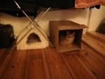 IMG_20190116_013342.jpg