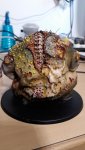 IMG-20180625-WA0125.jpeg.4580effc600b4919c8e01788c0f74577.jpeg