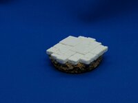 IMG_20201122_114130.jpg