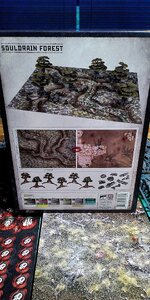IMG_20240701_210719.jpg