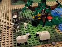 IMG_20240715_231143.jpg