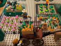IMG_20240715_231103.jpg