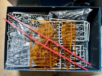 IMG_7106.jpeg