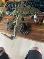 IMG_3157.jpeg