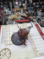 IMG_2541.JPEG