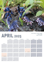 Collage4.jpg