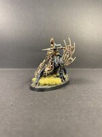 IMG_4421.jpeg