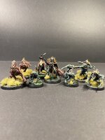IMG_4382.jpeg