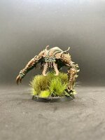 IMG_6709.jpeg