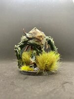 IMG_6712.jpeg