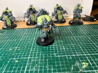 Lieutenant 5.jpg