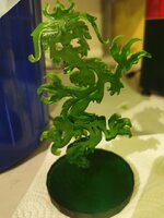 IMG_20201209_090157.jpg