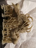 IMG_20201209_140049.jpg