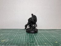 IMG_3958.jpeg