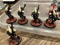 IMG_1203.jpeg