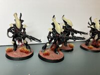IMG_1223.jpeg