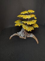 IMG_20240930_235543.jpg