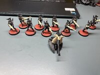 IMG_1305.jpeg