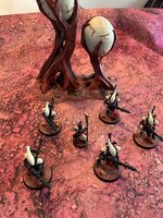IMG_1352.jpeg
