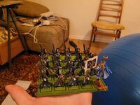 20241020_200926.jpg