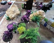 IMG_9387.jpeg