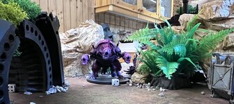 IMG_9386.jpeg