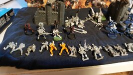 20241205_155650.jpg