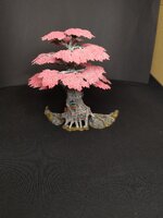 IMG_20241208_010304.jpg