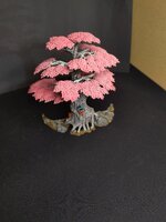IMG_20241208_010320.jpg
