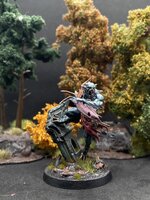 IMG_1793.jpeg