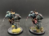 IMG_1806.jpeg