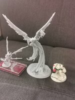 IMG_20201211_130441.jpg