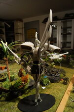 DSC07530.JPG