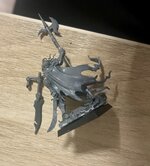 IMG_8049.jpeg