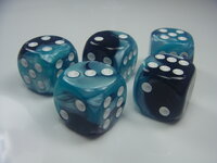 Gemini Black Shell_white.JPG