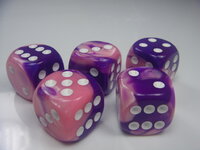 Gemini Pink Purple_white.JPG