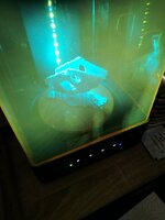 IMG_20201215_171658.jpg