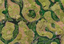 forsaken-swamp-44x30.webp