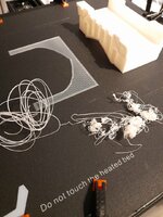 20210113_3D Druck Spaghetti.jpg