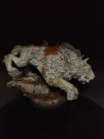 IMG_20210102_165251.jpg