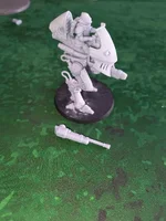 FG Sentinel.webp