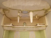 IMG_20260611_174215_300_LL.webp