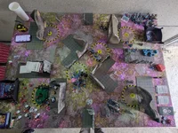 2026-06-14_Zug 5-1.webp
