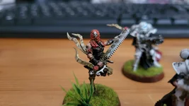 20260726_192618.webp